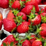Οι φράουλες μειώνουν τον κίνδυνο εμφάνισης άνοιας και κατάθλιψης