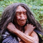 Επιστήμονες ανακατασκεύασαν πρόσωπο γυναίκας Νεάντερταλ ηλικίας 75.000 ετών